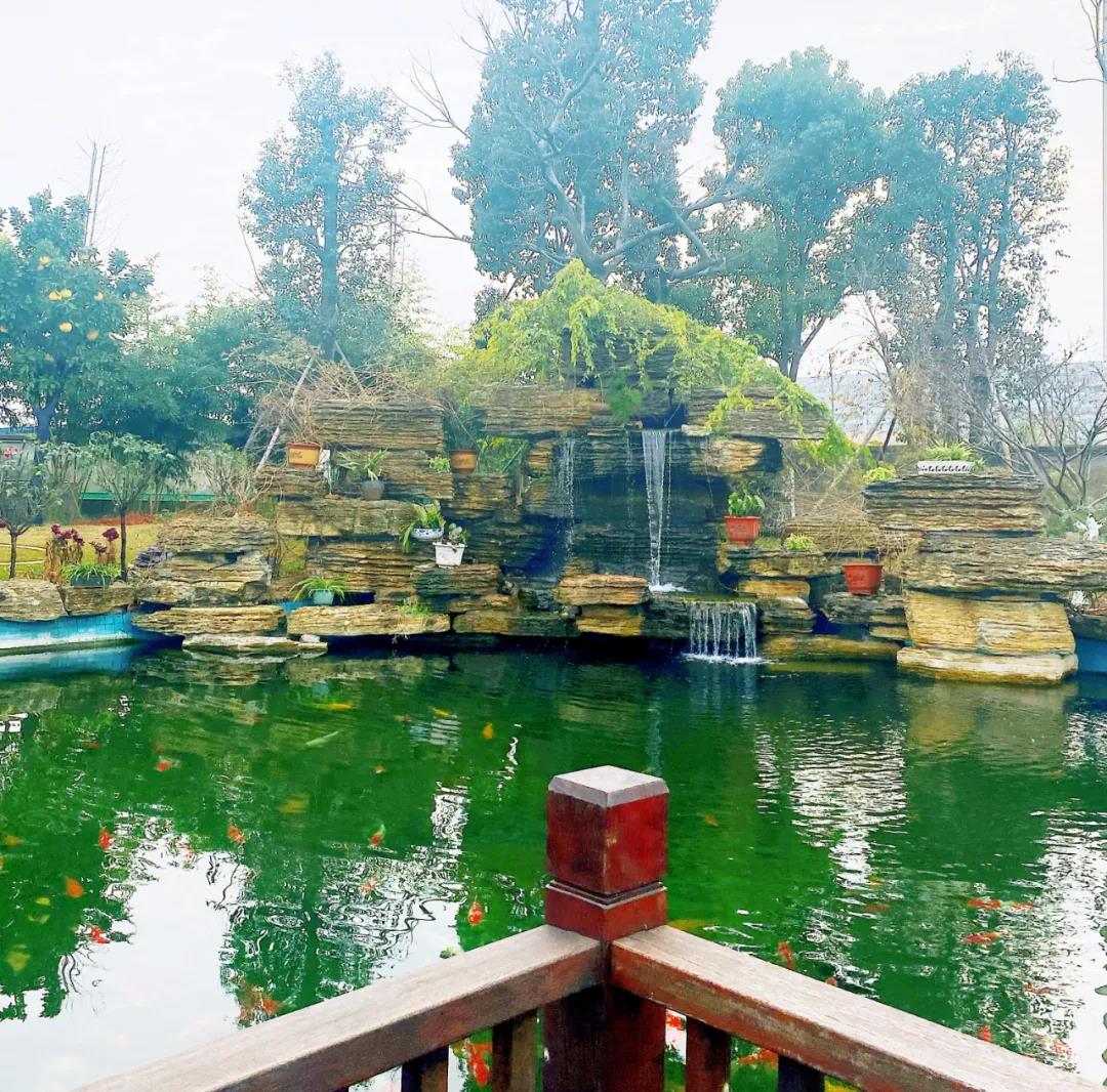 風景這邊獨好！東大環境美景一覽，請查收