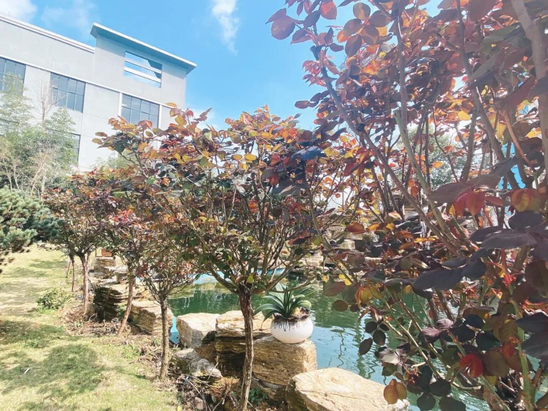 風景這邊獨好！東大環境美景一覽，請查收